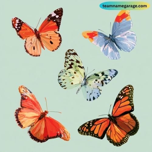 Best Butterfly Team Names