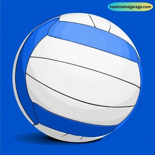 Cute Blue Volleyball Team Names