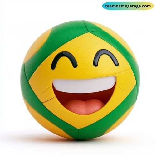 Funny Brazil Volleyball Team Names