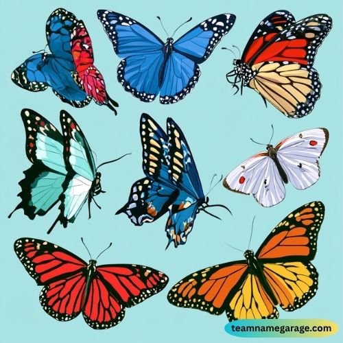 Funny Butterfly Team Names