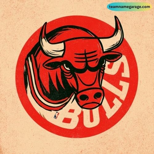 NBA Expansion Teams and Their Name Stories